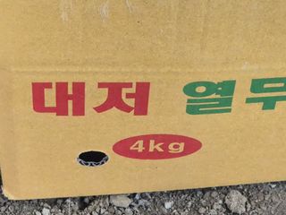 준영농장 출석왕.님의 자유주제·자유게시판 작성글 사진