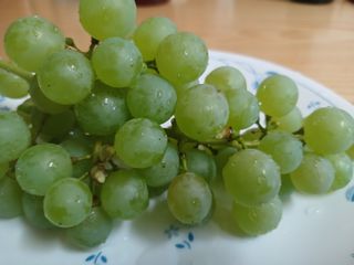 금동이네님의 자유주제·자유게시판 작성글 사진