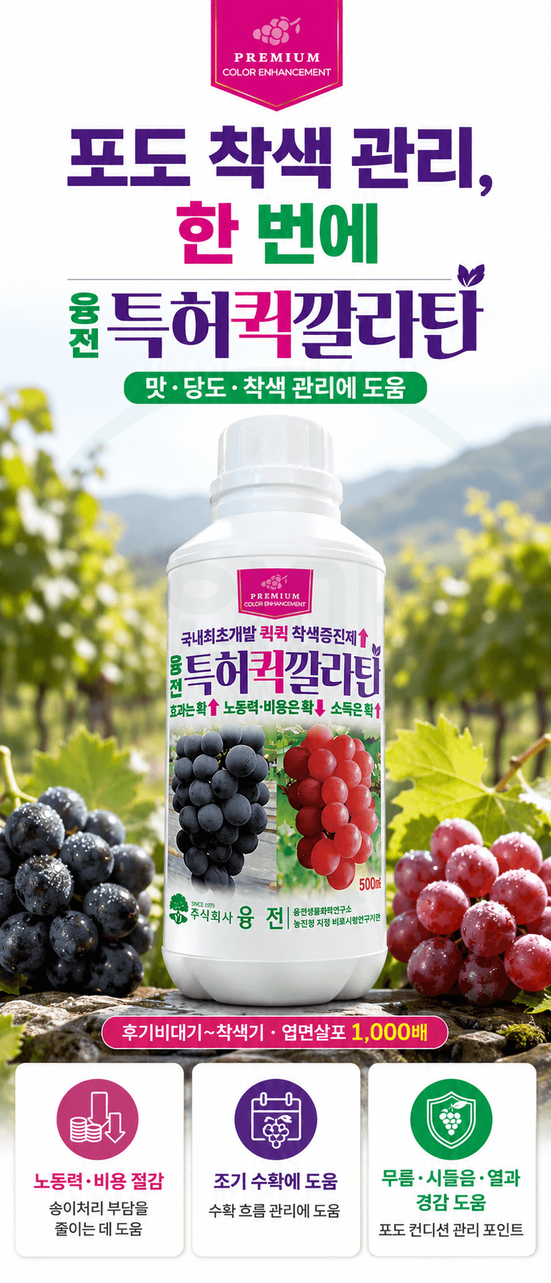 농업마켓365님의 장터 판매 상품 [융전 퀵깔라탄 500ml 포도전용착색제 포도착색영양제 송이처리제 대체제 식물영양제] 첨부 사진