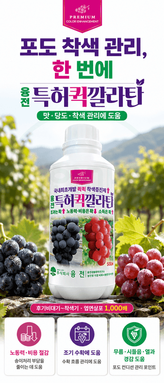 농업마켓365님의 작성글 사진