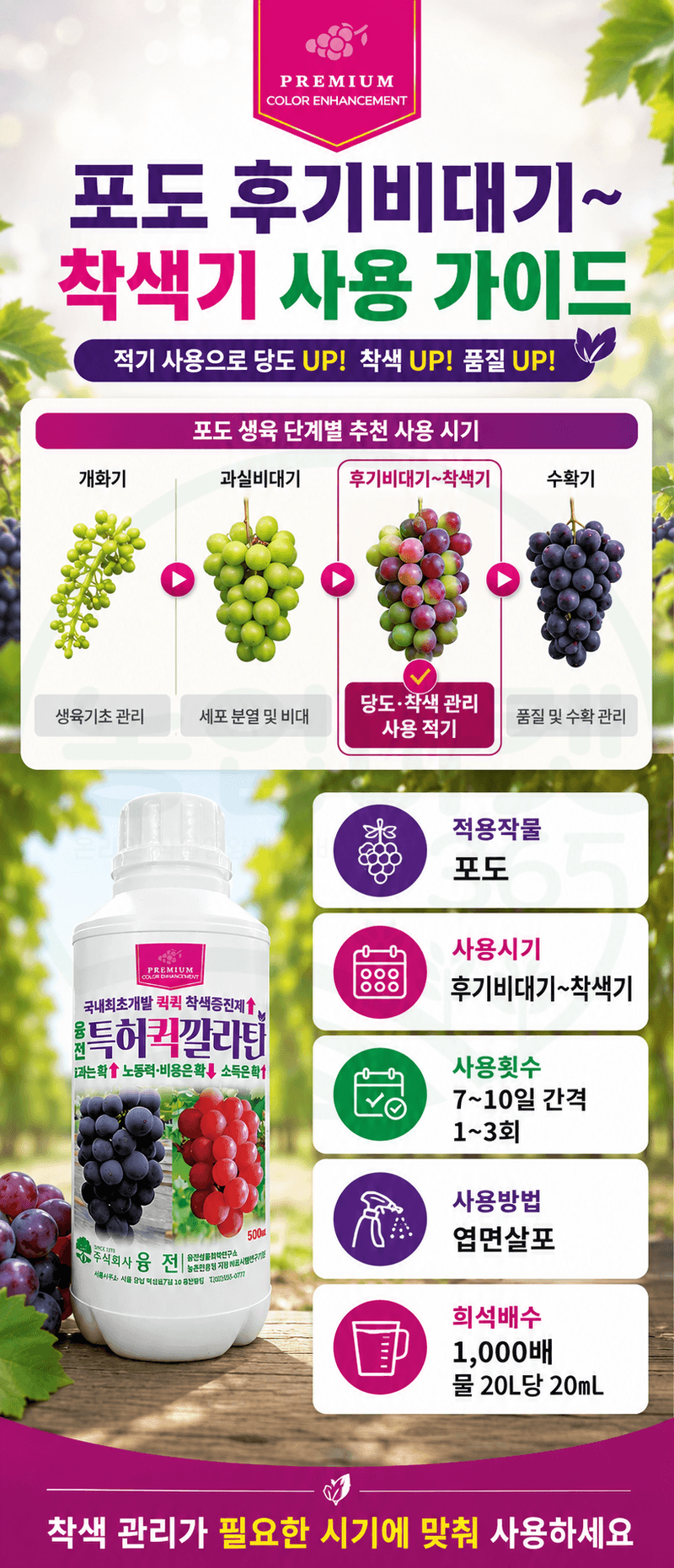 농업마켓365님의 장터 판매 상품 [융전 퀵깔라탄 500ml 포도전용착색제 포도착색영양제 송이처리제 대체제 식물영양제] 첨부 사진