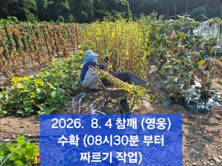 박성민님의 자유주제·자유게시판 작성글 사진