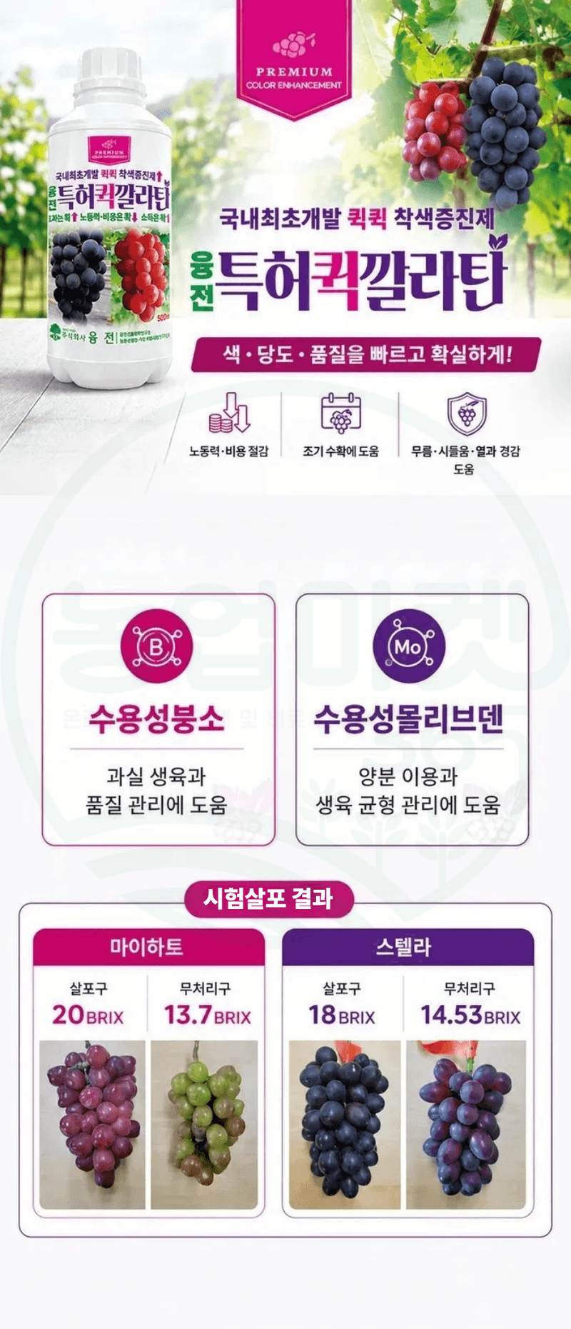 농업마켓365님의 장터 판매 상품 [융전 퀵깔라탄 500ml 포도전용착색제 포도착색영양제 송이처리제 대체제 식물영양제] 첨부 사진