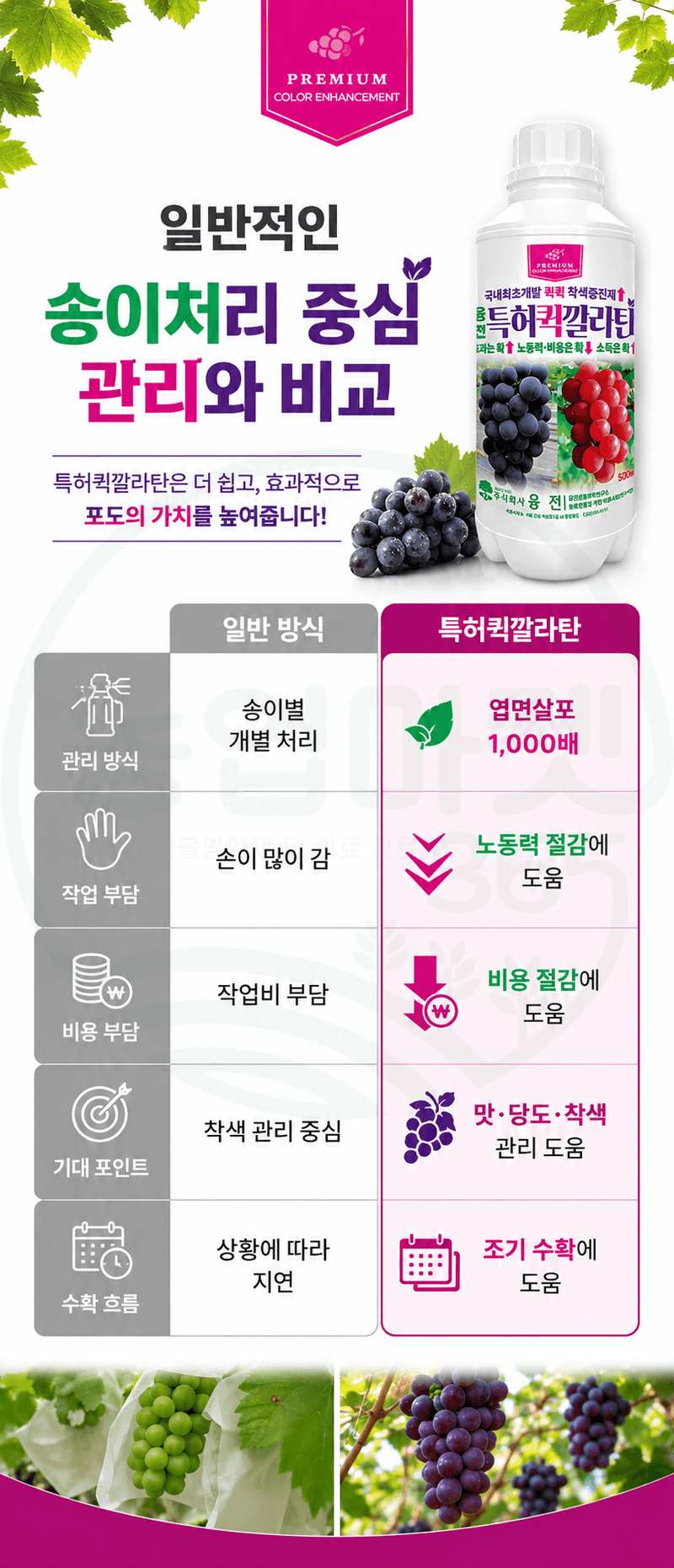 농업마켓365님의 장터 판매 상품 [융전 퀵깔라탄 500ml 포도전용착색제 포도착색영양제 송이처리제 대체제 식물영양제] 첨부 사진