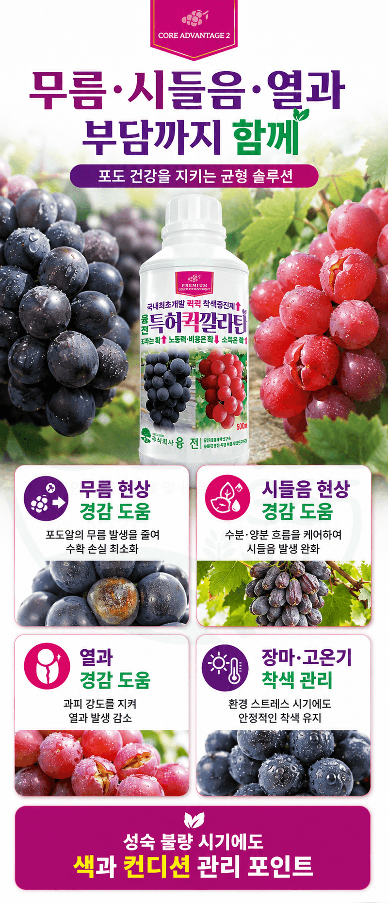 농업마켓365님의 장터 판매 상품 [융전 퀵깔라탄 500ml 포도전용착색제 포도착색영양제 송이처리제 대체제 식물영양제] 첨부 사진