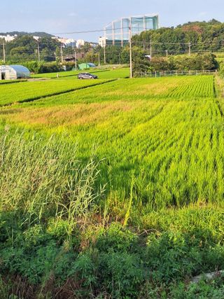 과수15898님의 자유주제 · 자유게시판 작성글 사진