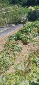 홈 갤러리 이미지