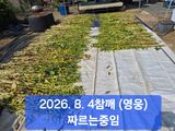 박성민님의 자유주제·자유게시판 작성글 사진