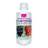 팜모닝 · 게시글 이미지