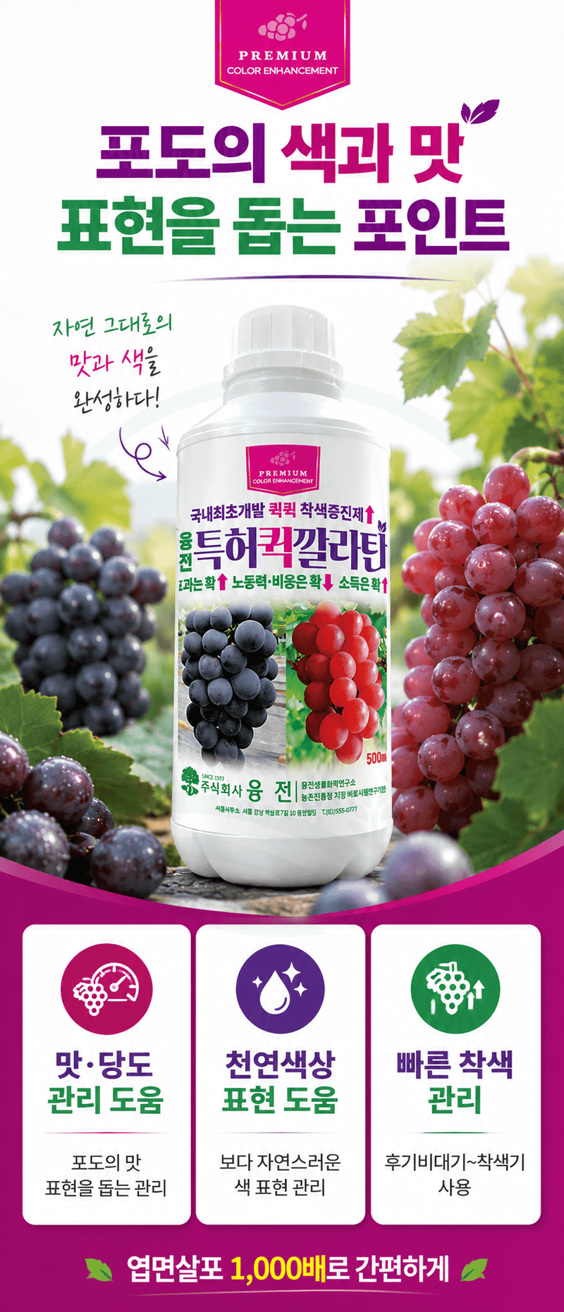 농업마켓365님의 장터 판매 상품 [융전 퀵깔라탄 500ml 포도전용착색제 포도착색영양제 송이처리제 대체제 식물영양제] 첨부 사진