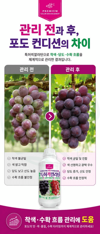 농업마켓365님의 작성글 사진
