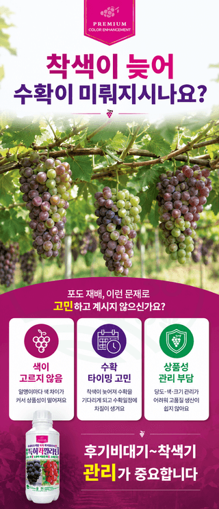 농업마켓365님의 작성글 사진