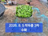 팜모닝 자유주제·자유게시판 게시글 이미지