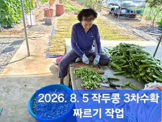 박성민님의 자유주제 · 자유게시판 작성글 사진