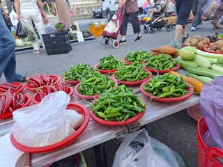 오이18491님의 자유주제 · 자유게시판 작성글 사진