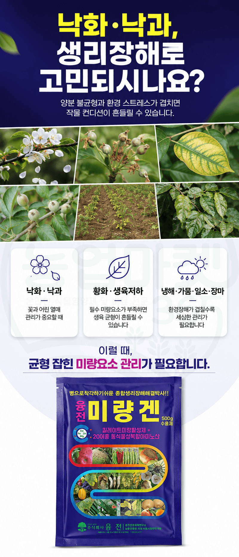 농업마켓365님의 장터 판매 상품 [융전 미량겐 500g 종합 미량요소 복합아미노산 식물영양제 비료] 첨부 사진
