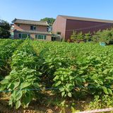 산골마님님의 자유주제·자유게시판 작성글 사진