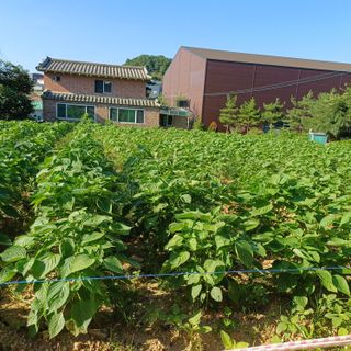산골마님님의 자유주제 · 자유게시판 작성글 사진
