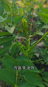 팜모닝 자유주제·자유게시판 게시글 이미지