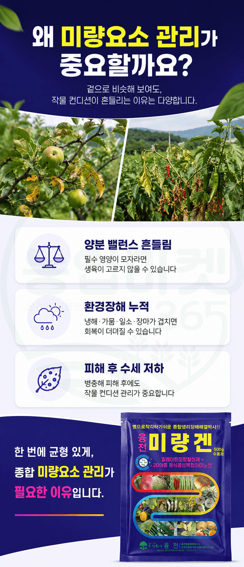 농업마켓365님의 장터 판매 상품 [융전 미량겐 500g 종합 미량요소 복합아미노산 식물영양제 비료] 첨부 사진