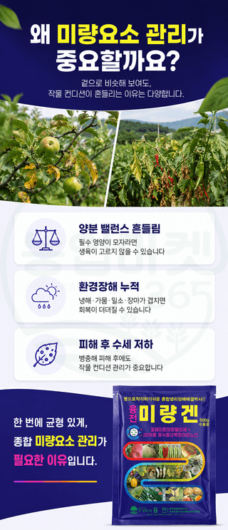 농업마켓365님의 작성글 사진