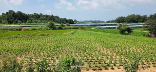 황규복(달구지)님의 자유주제 · 자유게시판 작성글 사진
