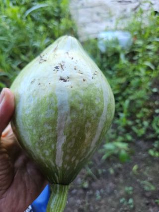 farmer님의 자유주제 · 자유게시판 작성글 사진