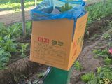 준영농장 출석왕.님의 자유주제·자유게시판 작성글 사진
