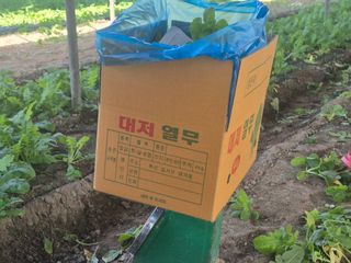 준영농장 출석왕.님의 자유주제 · 자유게시판 작성글 사진