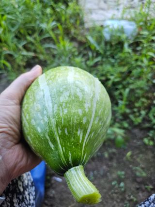 farmer님의 자유주제 · 자유게시판 작성글 사진