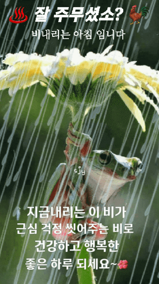 이훈정(시몬)님의 작성글 사진