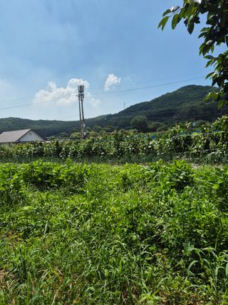 이정민님의 자유주제 · 자유게시판 작성글 사진
