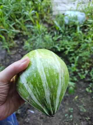 farmer님의 자유주제 · 자유게시판 작성글 사진