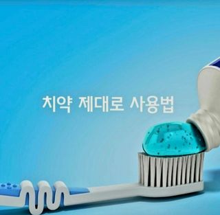 (팽나무*공주)님의 자유주제 · 자유게시판 작성글 사진