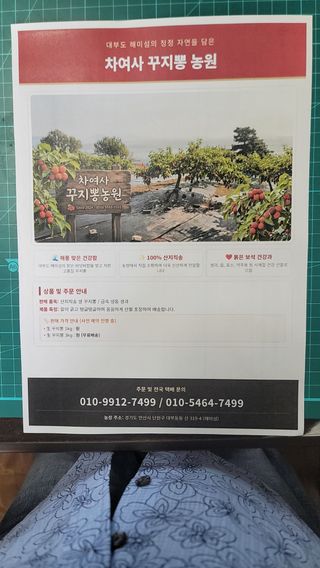 차여사농원 머슴님의 자유주제 · 자유게시판 작성글 사진