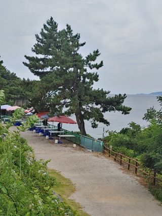 이현상님의 자유주제 · 자유게시판 작성글 사진