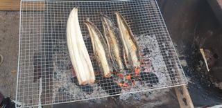 머치자연인님의 작성글 사진