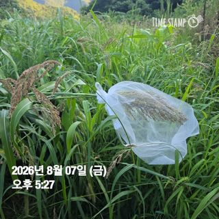 권춘화님의 자유주제 · 자유게시판 작성글 사진