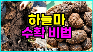 꿈꾸는텃밭님의 자유주제 · 자유게시판 작성글 사진