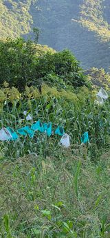 권춘화님의 자유주제·자유게시판 작성글 사진