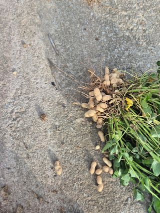 최귀매님의 자유주제 · 자유게시판 작성글 사진