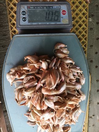 꽃봉산님의 작성글 사진