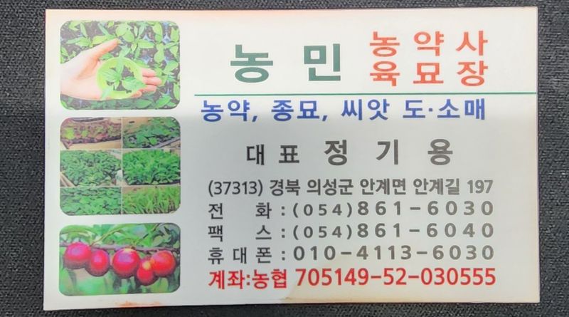 정대장님의 장터 판매 상품 [햇쪽파 5kg 이상 키로 4천원] 첨부 사진