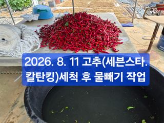 박성민님의 자유주제 · 자유게시판 작성글 사진
