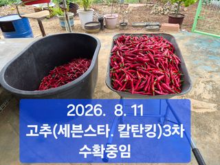 박성민님의 자유주제·자유게시판 작성글 사진