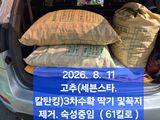 박성민님의 자유주제·자유게시판 작성글 사진