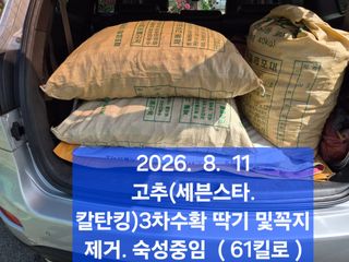 박성민님의 자유주제 · 자유게시판 작성글 사진