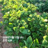 민들레님의 자유주제·자유게시판 작성글 사진