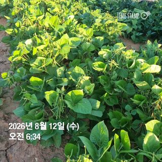 민들레님의 자유주제 · 자유게시판 작성글 사진