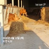 민들레님의 자유주제·자유게시판 작성글 사진